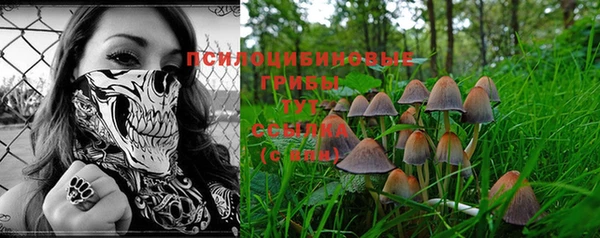 прущая мука Алексин