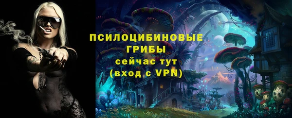 кокаин Алексеевка