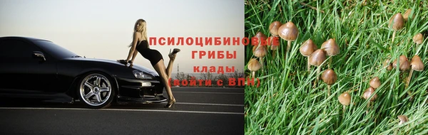соль курить ск Пестово