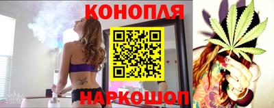крисы Волгодонск
